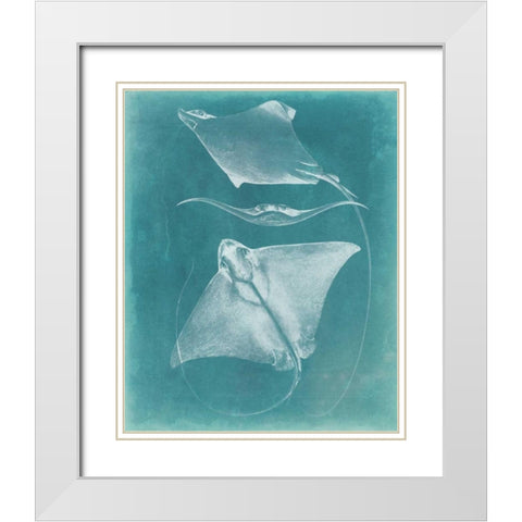 Morning Swim III White Modern Wood Framed Art Print with Double Matting by Vision Studio