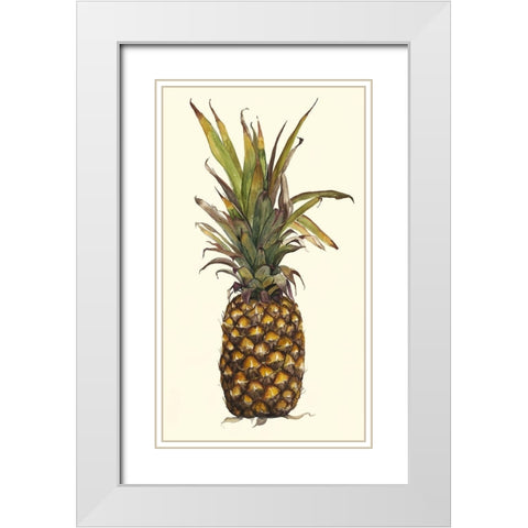 Pineapple Study II (ASH) White Modern Wood Framed Art Print with Double Matting by Willett, Michael