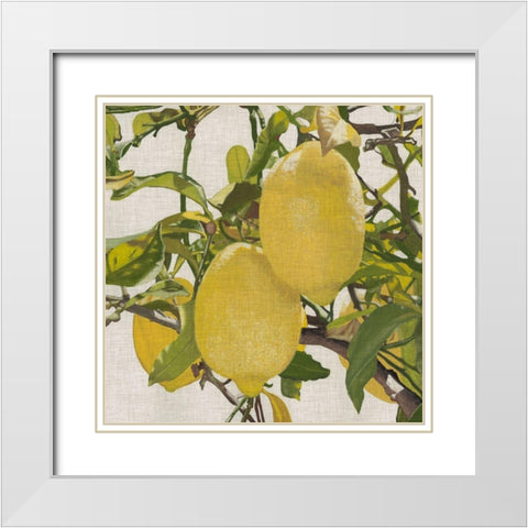 Bright Citrus III (ASH) White Modern Wood Framed Art Print with Double Matting by McCavitt, Naomi