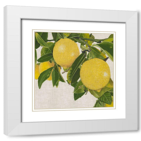Bright Citrus IV (ASH) White Modern Wood Framed Art Print with Double Matting by McCavitt, Naomi