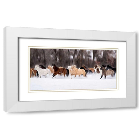 Snow Run II White Modern Wood Framed Art Print with Double Matting by PHBurchett