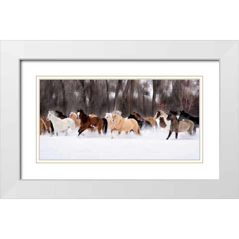 Snow Run II White Modern Wood Framed Art Print with Double Matting by PHBurchett