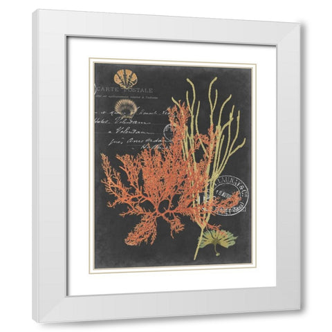 Coastal Post II White Modern Wood Framed Art Print with Double Matting by Studio W