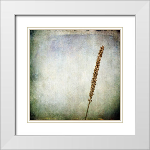 Grunge Remnants I White Modern Wood Framed Art Print with Double Matting by Malek, Honey