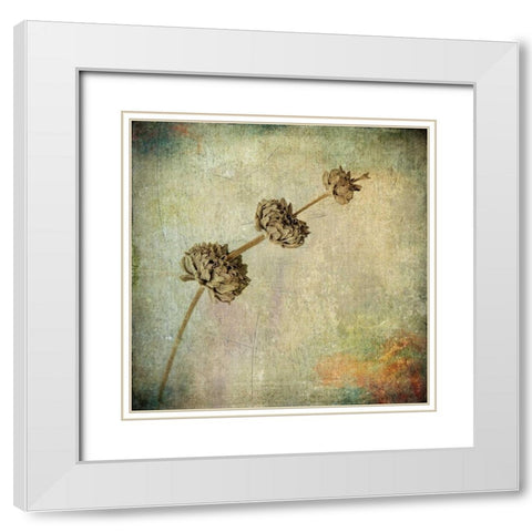 Grunge Remnants IV White Modern Wood Framed Art Print with Double Matting by Malek, Honey