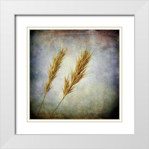Grunge Remnants VI White Modern Wood Framed Art Print with Double Matting by Malek, Honey