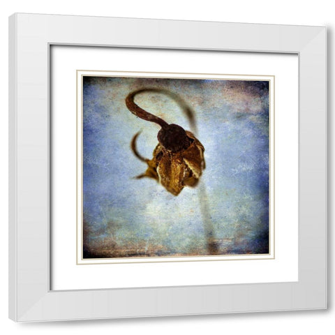 Grunge Remnants VIII White Modern Wood Framed Art Print with Double Matting by Malek, Honey