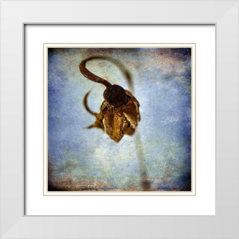 Grunge Remnants VIII White Modern Wood Framed Art Print with Double Matting by Malek, Honey