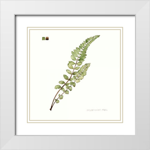 Watercolor Leaf Study I White Modern Wood Framed Art Print with Double Matting by Popp, Grace