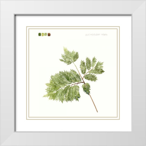 Watercolor Leaf Study II White Modern Wood Framed Art Print with Double Matting by Popp, Grace