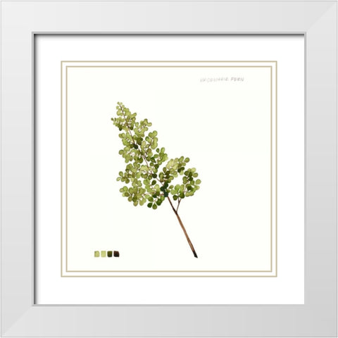Watercolor Leaf Study III White Modern Wood Framed Art Print with Double Matting by Popp, Grace