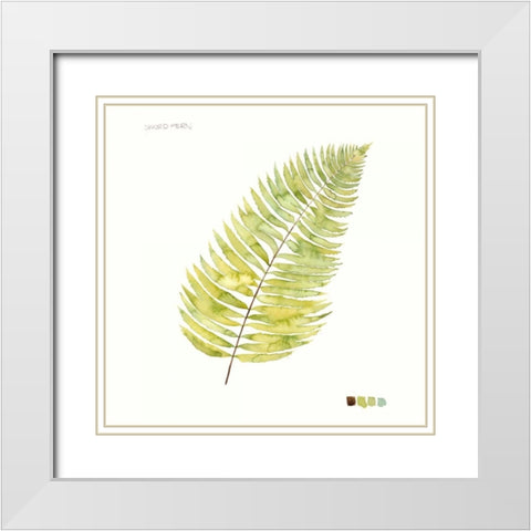 Watercolor Leaf Study IV White Modern Wood Framed Art Print with Double Matting by Popp, Grace