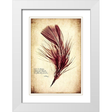 Feather in Color III White Modern Wood Framed Art Print with Double Matting by Malek, Honey
