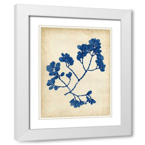 Indigo Leaf Study III White Modern Wood Framed Art Print with Double Matting by Vision Studio