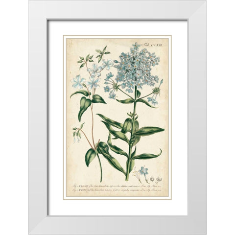 Chambray Botanical II White Modern Wood Framed Art Print with Double Matting by Miller, Dianne