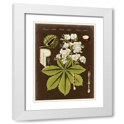 Chestnut on Suede White Modern Wood Framed Art Print with Double Matting by Vision Studio