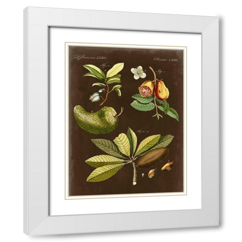 Breadfruit on Suede White Modern Wood Framed Art Print with Double Matting by Vision Studio