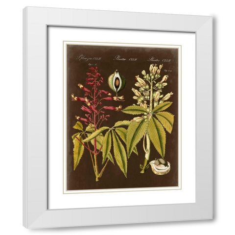 Buckeye on Suede White Modern Wood Framed Art Print with Double Matting by Vision Studio
