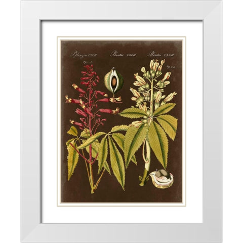 Buckeye on Suede White Modern Wood Framed Art Print with Double Matting by Vision Studio