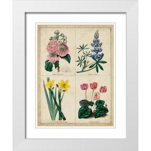 Botanical Grid III White Modern Wood Framed Art Print with Double Matting by Maund, Benjamin