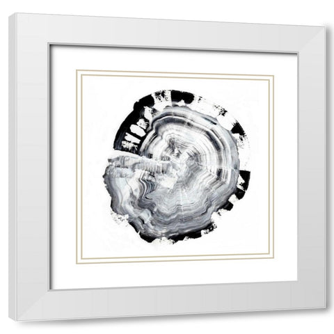 Tree Ring Abstract III White Modern Wood Framed Art Print with Double Matting by Harper, Ethan
