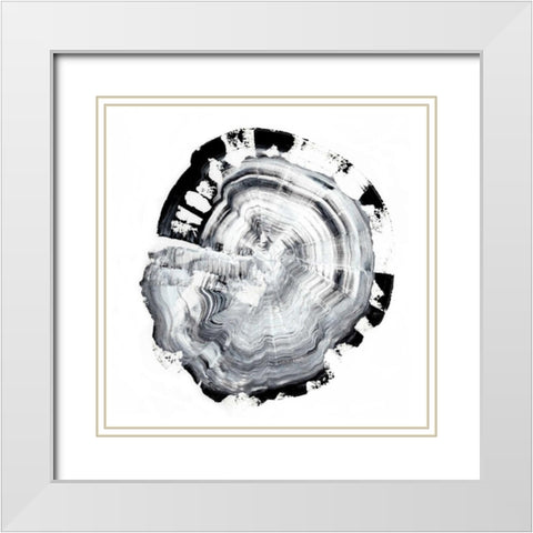 Tree Ring Abstract III White Modern Wood Framed Art Print with Double Matting by Harper, Ethan