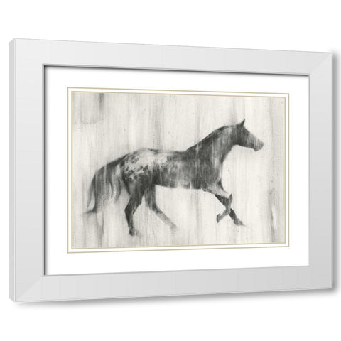Appaloosa Study I White Modern Wood Framed Art Print with Double Matting by Harper, Ethan