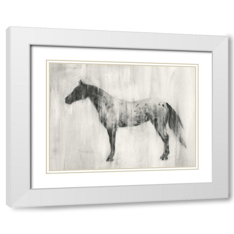 Appaloosa Study II White Modern Wood Framed Art Print with Double Matting by Harper, Ethan