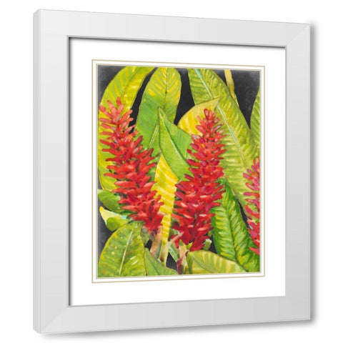 Red Tropical Flowers I White Modern Wood Framed Art Print with Double Matting by OToole, Tim