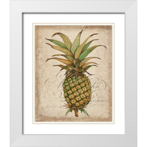 Pineapple Study I White Modern Wood Framed Art Print with Double Matting by OToole, Tim