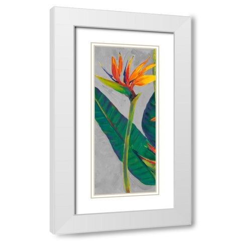 Bird of Paradise Triptych I White Modern Wood Framed Art Print with Double Matting by OToole, Tim