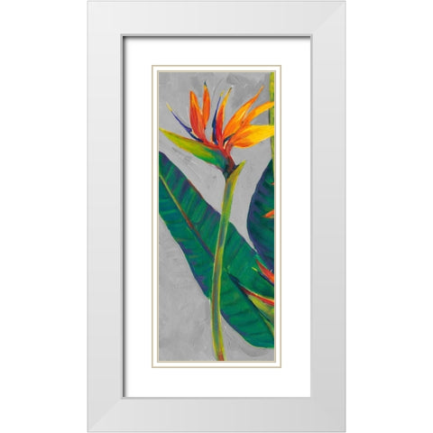 Bird of Paradise Triptych I White Modern Wood Framed Art Print with Double Matting by OToole, Tim