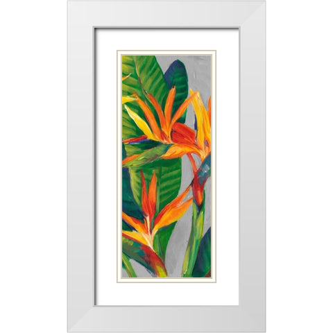 Bird of Paradise Triptych II White Modern Wood Framed Art Print with Double Matting by OToole, Tim