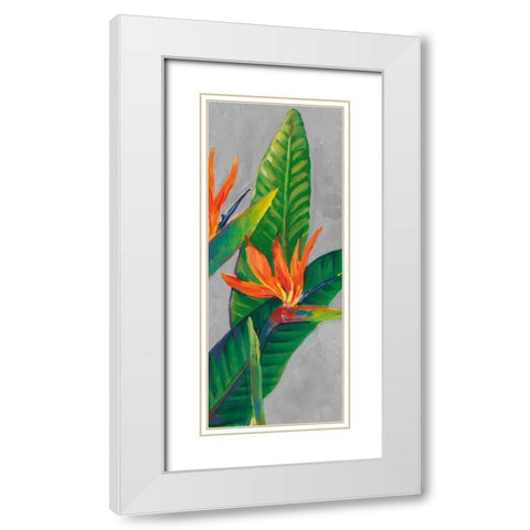Bird of Paradise Triptych III White Modern Wood Framed Art Print with Double Matting by OToole, Tim