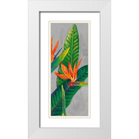 Bird of Paradise Triptych III White Modern Wood Framed Art Print with Double Matting by OToole, Tim