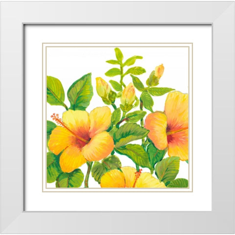 Watercolor Hibiscus I White Modern Wood Framed Art Print with Double Matting by OToole, Tim
