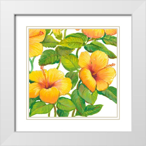 Watercolor Hibiscus IV White Modern Wood Framed Art Print with Double Matting by OToole, Tim