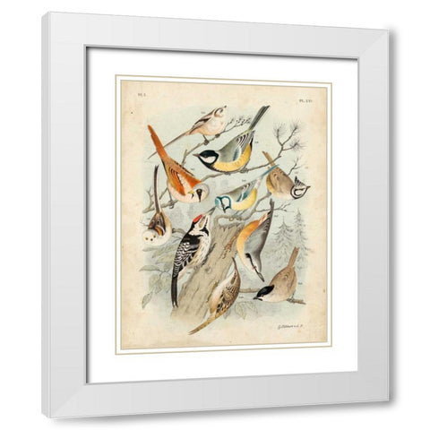 Gathering of Birds II White Modern Wood Framed Art Print with Double Matting by Lubbert, G.