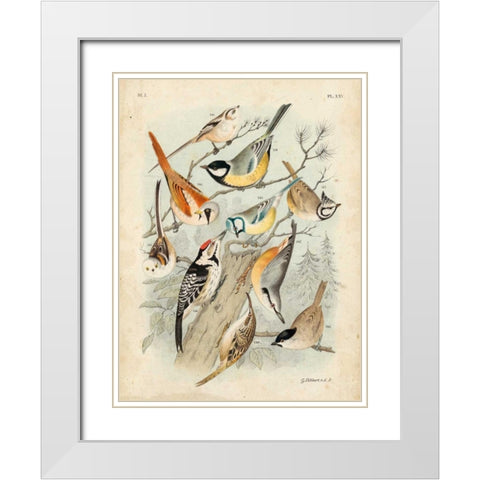 Gathering of Birds II White Modern Wood Framed Art Print with Double Matting by Lubbert, G.