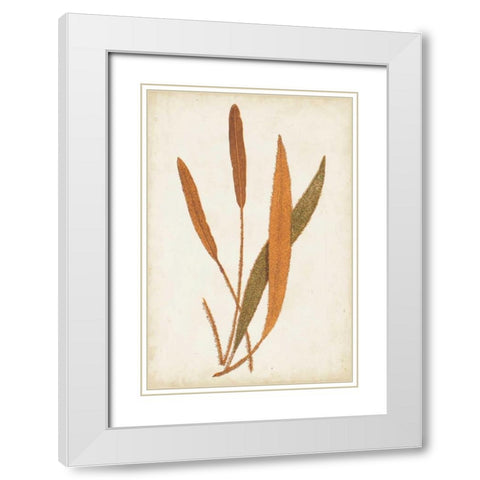Fern Family VI White Modern Wood Framed Art Print with Double Matting by Lowe
