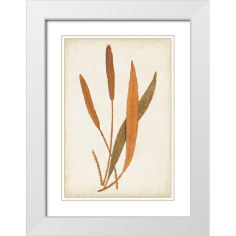 Fern Family VI White Modern Wood Framed Art Print with Double Matting by Lowe