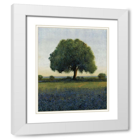 60x48 Early Morning Vista (ASH) White Modern Wood Framed Art Print with Double Matting by OToole, Tim