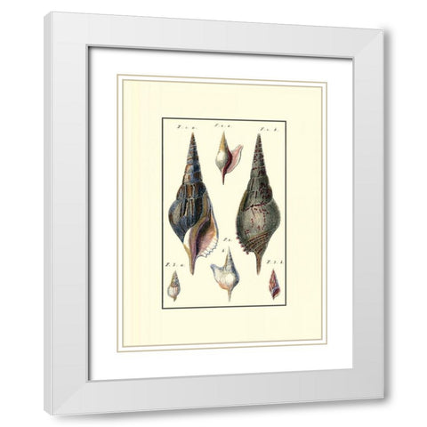 Custom Sea Shell III White Modern Wood Framed Art Print with Double Matting by Diderot
