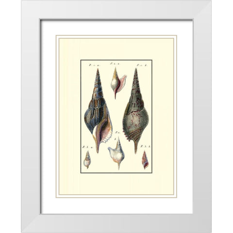 Custom Sea Shell III White Modern Wood Framed Art Print with Double Matting by Diderot