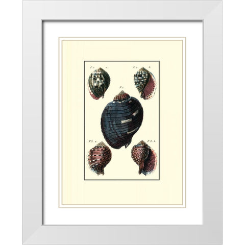 Custom Sea Shell VII White Modern Wood Framed Art Print with Double Matting by Diderot