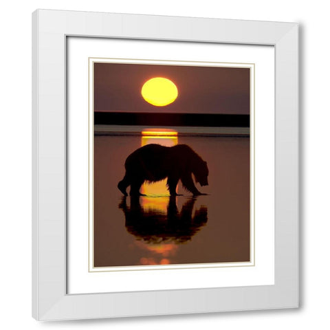 32x24 Bears at Play I (ASH) White Modern Wood Framed Art Print with Double Matting by PHBurchett