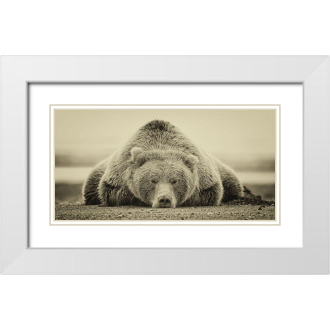 Deep Sleep (ASH) White Modern Wood Framed Art Print with Double Matting by PHBurchett