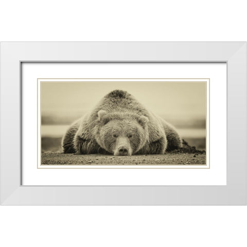 30x60 Deep Sleep (ASH) White Modern Wood Framed Art Print with Double Matting by PHBurchett