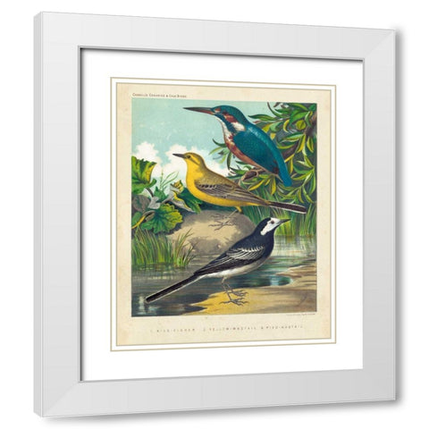 King-fisher and Wagtails White Modern Wood Framed Art Print with Double Matting by Cassell