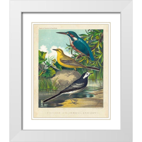King-fisher and Wagtails White Modern Wood Framed Art Print with Double Matting by Cassell
